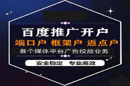 百度竞价广告投放技巧及某行业成功案例